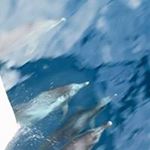 Profile Picture of Brian Mcguire (@jeffrey.mcguire.1238) on Instagram