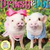 Profile Picture of   Prissy and Pop... (@prissy_pig) on Tiktok