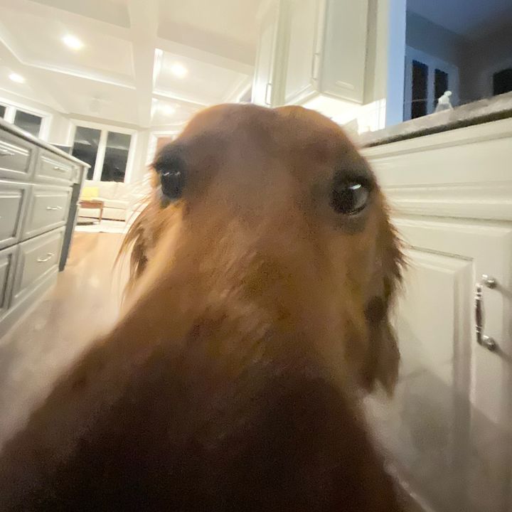 Profile Picture of Jack Mathias (@jack.mathias24) on Tiktok