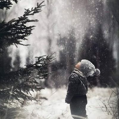 Profile Picture of Ahmad Abd Alkadir (@AhmadAbdAlkadi3) on Twitter