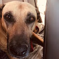 Ruby Warren - Quora Profile Picture of Ruby Warren (@ruby-warren-20) on Quora