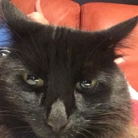 Profile Picture of Miguel Stumpo (@miguel-stumpo) on Quora