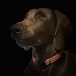 Profile Picture of Melissa Mansfield (@mrmansf) on Instagram