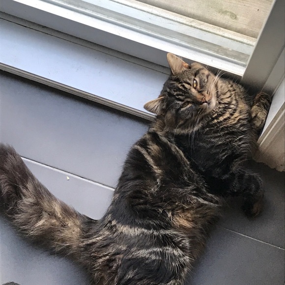 Profile Picture of Mark Lachance (@dosez3) on Poshmark