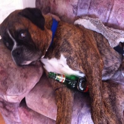 Profile Picture of Chris Teer (@ChriTeer) on Twitter