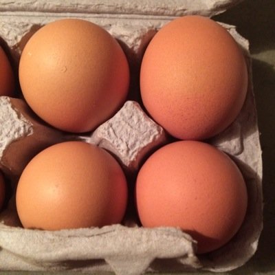 Profile Picture of Jacob LaRocque-Wall (@jacoblw11) on Twitter