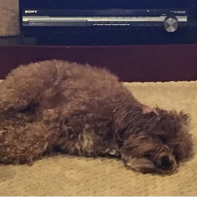Profile Picture of Kelly Plante (@kbplante) on Twitter