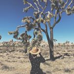 Profile Picture of Jasmin Araujo (@jazzycakez4) on Instagram