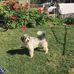 Profile Picture of Glennis Wright (@glennis.wright.92) on Facebook