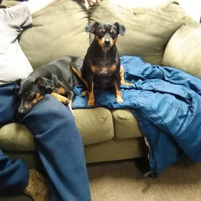 Profile Picture of Barbara Haskell (@BarbaraHaskell3) on Twitter