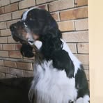 Profile Picture of Dawn Fenton (@dawn.fenton.3954) on Facebook