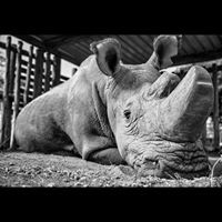 Profile Picture of Robbin Mackin-yates (@robbin-mackin-yates) on Quora