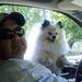 Profile Picture of Davy Cook (@dbcookwv) on Pinterest