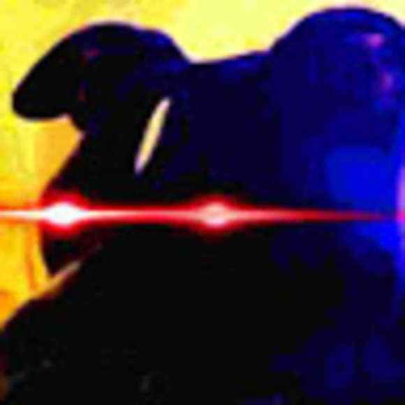 Profile Picture of Zachary Powell (@zacharypowel252) on Poshmark