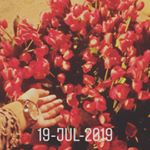 Profile Picture of itratshah (@itratshah9247) on Instagram