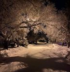 Profile Picture of Salih Alnour Adam (@Salih-Alnour-Adam) on Facebook