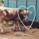 Profile Picture of Kevin currier (@21kcurrier) on Instagram