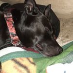 Profile Picture of Max Aguilar (@max.aguilar2k16) on Instagram