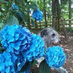 Profile Picture of Heather Hanchett Burns (@feyconri) on Instagram