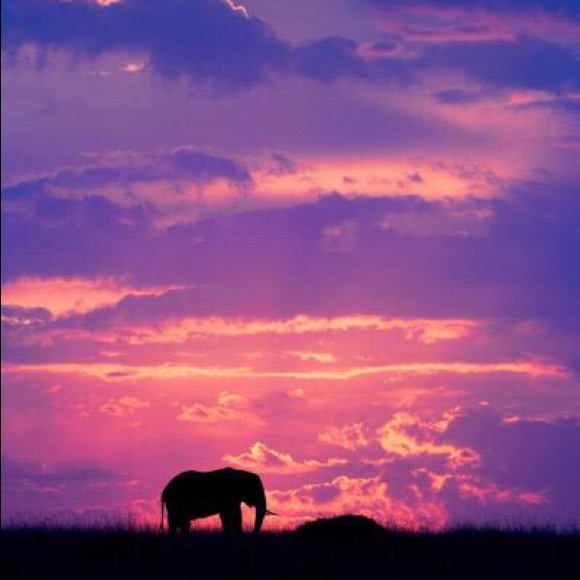 Profile Picture of Myron Guyton (@myronguyton) on Poshmark