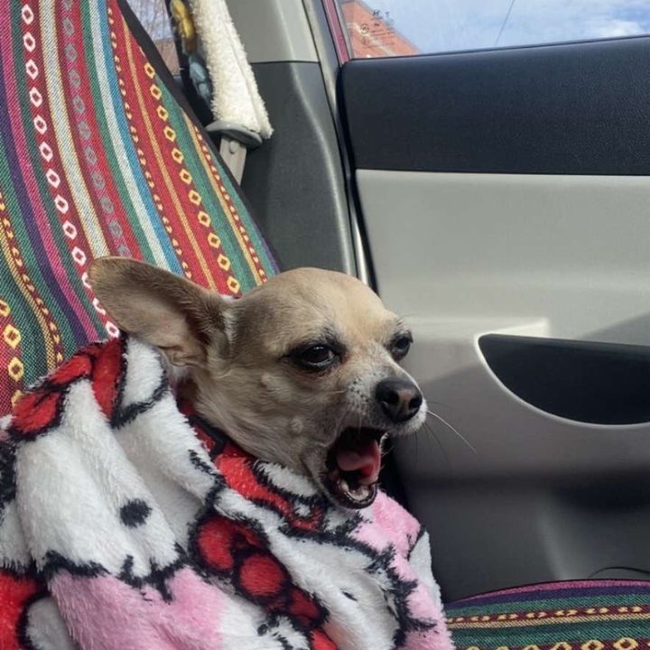 Profile Picture of … (@skidmarkonskibidisadface) on Tiktok