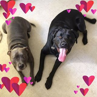 Vickie Gray - Facebook Profile Picture of Vickie Gray (@vickie.gray.395) on Facebook