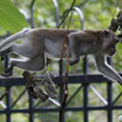 Profile Picture of Arnold Salcedo (@redstarz1068) on Twitter