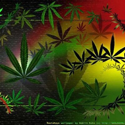 Profile Picture of Jonathan Alcocer (@jaobaja) on Twitter