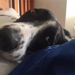Profile Picture of Daniel Walbeoff (@danielwalbeoff) on Instagram