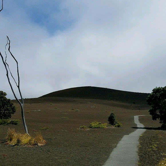 Profile Picture of Michele Kreuzer (@shellkreuzer) on Poshmark