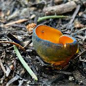 Profile Picture of Jake Kasper (@JakeKasper) on Youtube