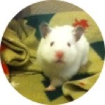 Profile Picture of Krystal Mellon (@krystalthehammy) on Instagram