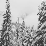 Profile Picture of Kyle Ricketts (@ricketts_kyle) on Instagram