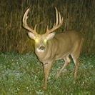Profile Picture of Brian Mancl (@brianmancl) on Pinterest