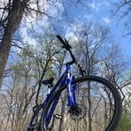 Profile Picture of Matthew Robert (@Matthew-Robert) on Facebook