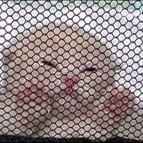 Profile Picture of Anthony 