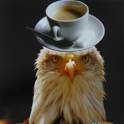 Profile Picture of Paul Vallance (@PaulVallance4) on Twitter