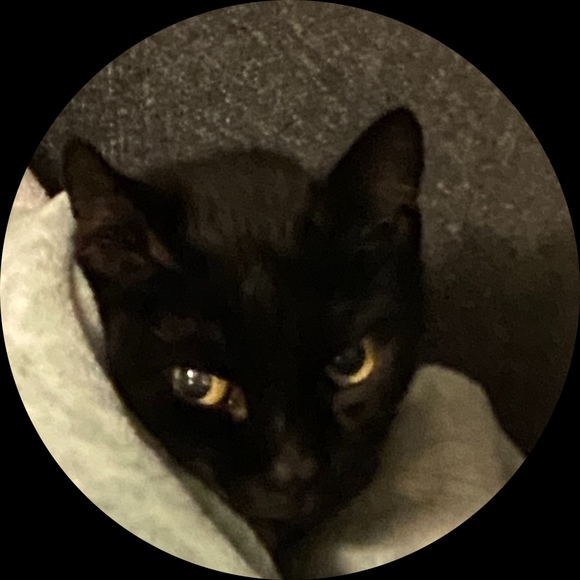 Profile Picture of Joshua Lehr (@monniker) on Poshmark