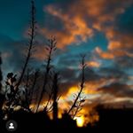 Profile Picture of Akins samuel sasumwen (@_thatedoguy_) on Instagram