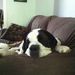 Profile Picture of Sunny LePage (@sunnyl90) on Pinterest