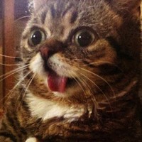 Profile Picture of Jonathan Mccallum (@jonathan-mccallum) on Quora