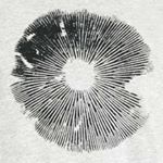 Profile Picture of Brian Bristol (@colorado_cultures) on Instagram