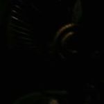 Humberto Navarrete - Instagram Profile Picture of Humberto Navarrete (@humberto.navarrete.96) on Instagram