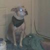 Profile Picture of Ernest Hurt (@@acehurt1) on Tiktok