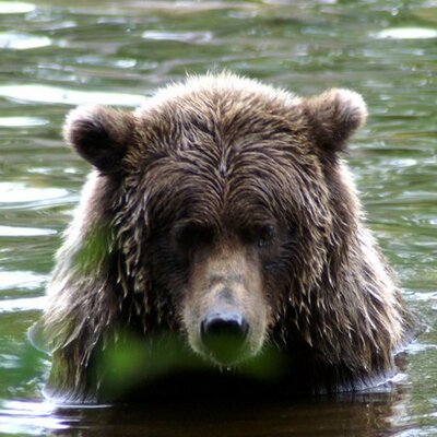 Profile Picture of Steve (@steve_foti) on Twitter
