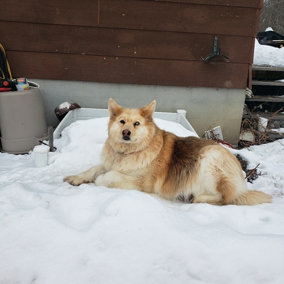 Profile Picture of Bo-dean Moffatt-roberts (@bobojustice9292) on Poshmark