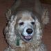 Profile Picture of Rita McFalls (@rita.mcfalls) on Facebook