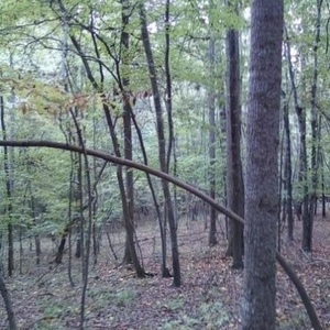 Profile Picture of Shelby Hadfield (@shelbygurl1225) on Myspace