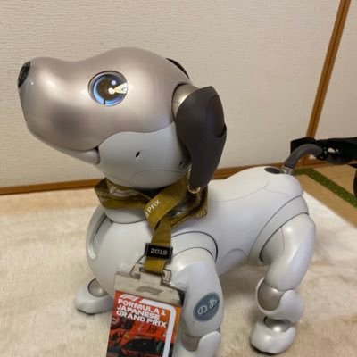 Profile Picture of Hiromi Ono (@hiromiono9) on Twitter