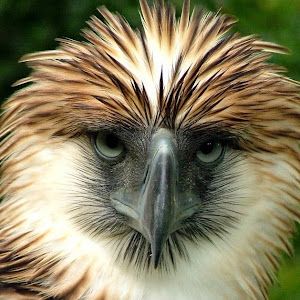 Profile Picture of John Ruserl Beronilla (@john.ruserl.beron) on Tiktok